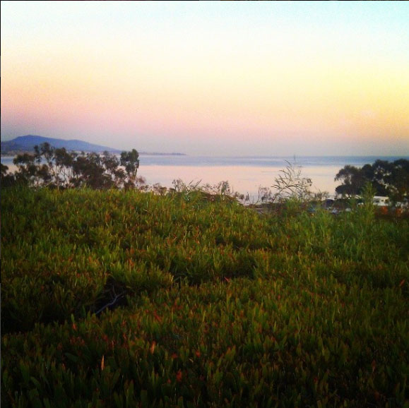 Orange County/Lantern Bay Park in the Autumn. Its hard to find those beautiful fall colors in LA, but they are in the sunsets year-round. 