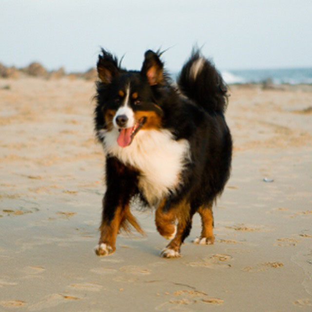 Vallentyne Photography