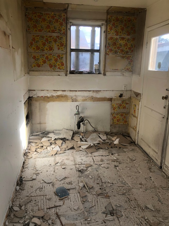 DD96B6AF-FFB5-4662-BDF3-EEAC122BE998